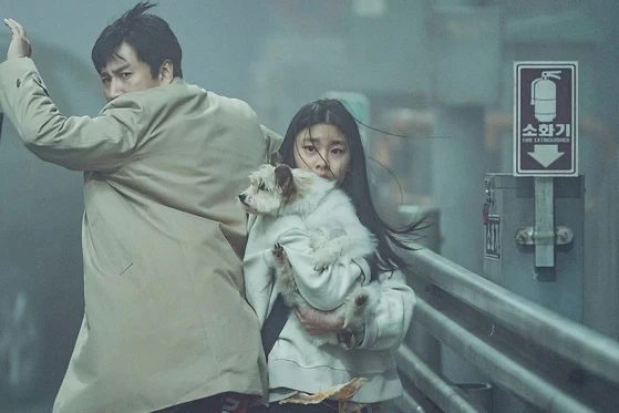 이선균 나이 프로필 커리어 차기작 최근 논란 이후 부인 전혜진 근황 19 영화 탈출 이선균 김수안