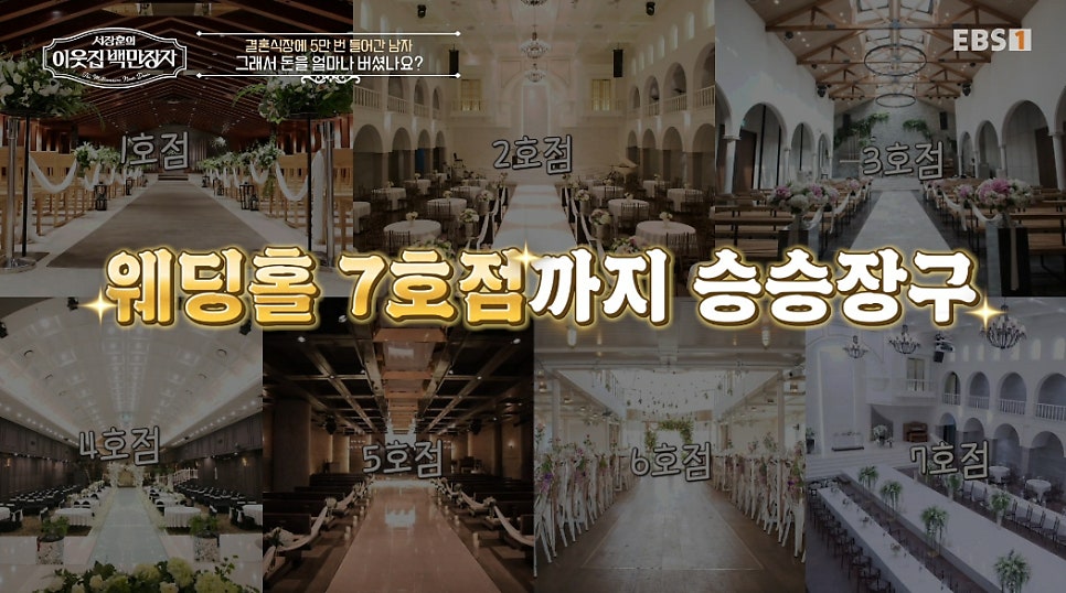 lib 224355326558 17