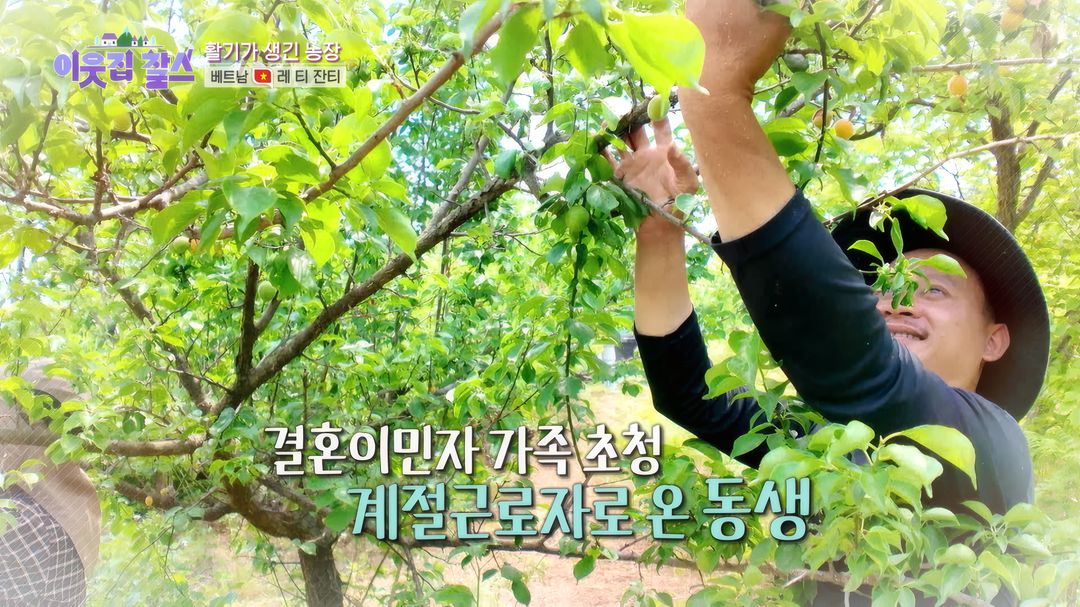 SNS 라이브 방송 판매왕과 대가족의 일상